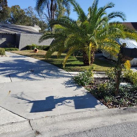 Beautiful Apartment Close To Everything Tampa Extérieur photo