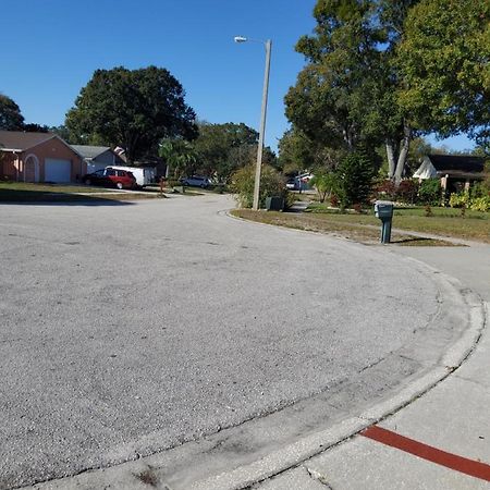 Beautiful Apartment Close To Everything Tampa Extérieur photo