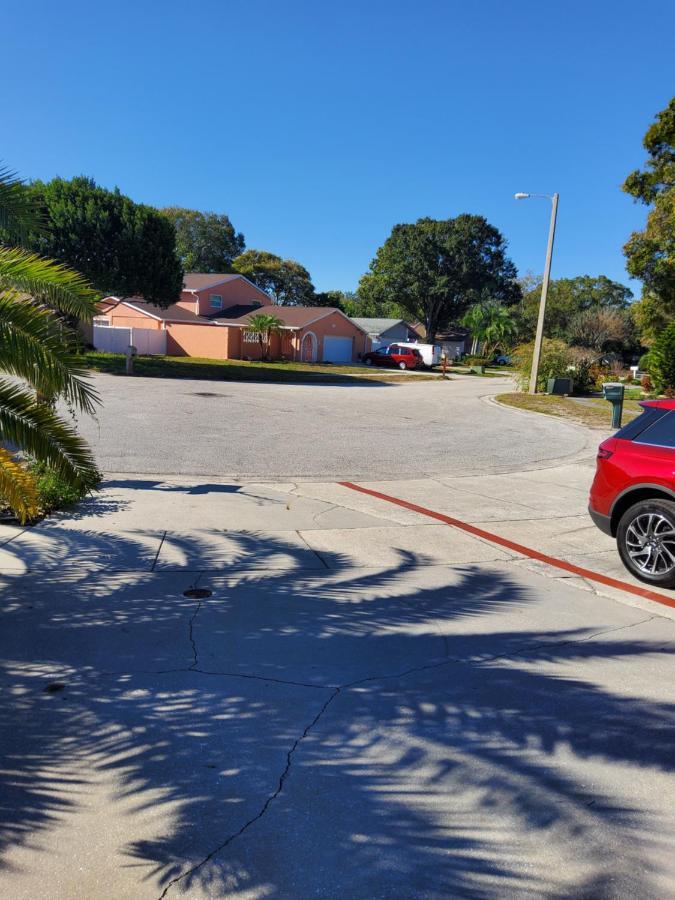 Beautiful Apartment Close To Everything Tampa Extérieur photo
