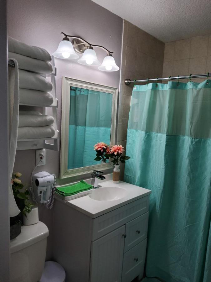 Beautiful Apartment Close To Everything Tampa Extérieur photo