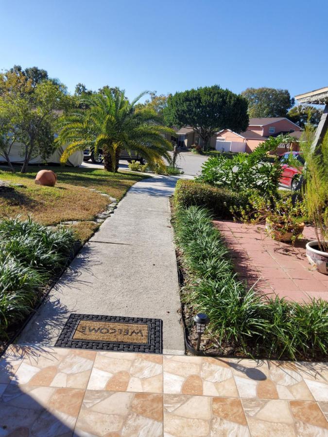 Beautiful Apartment Close To Everything Tampa Extérieur photo