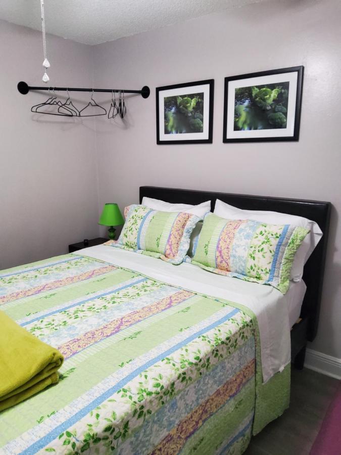 Beautiful Apartment Close To Everything Tampa Extérieur photo
